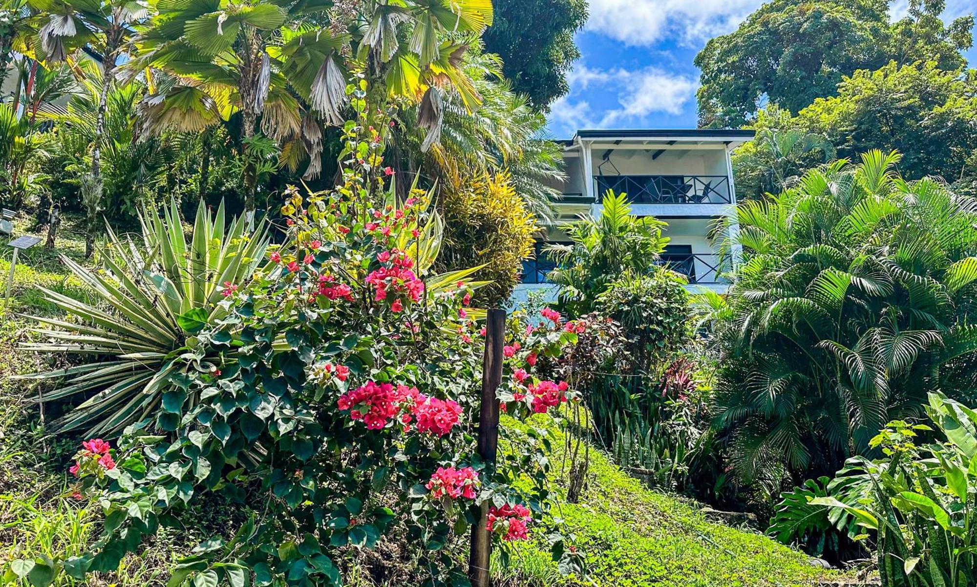 Villa Roca Boutique Resort & Suites - Adult Only Manuel Antonio Zewnętrze zdjęcie